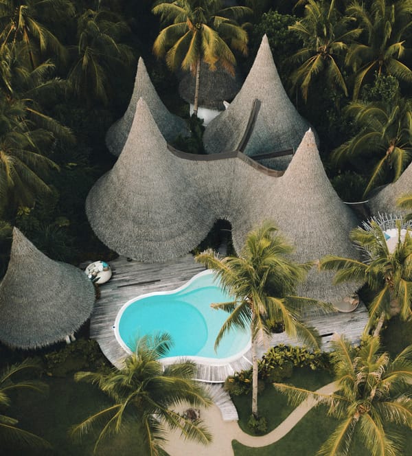 Tropical Paradise Found